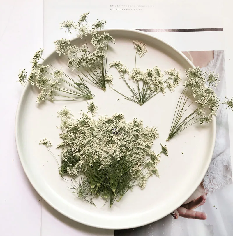 5-7 cm/12 piezas, flores peque - Dried Flower Bulk reseña y precio
