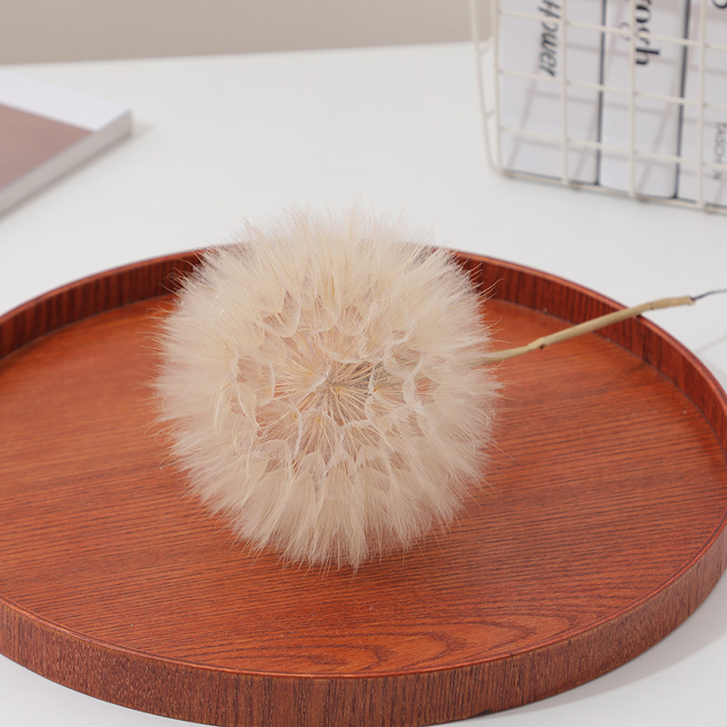 Kit de Manualidades con Resina - Resin Crafts reseña y precio